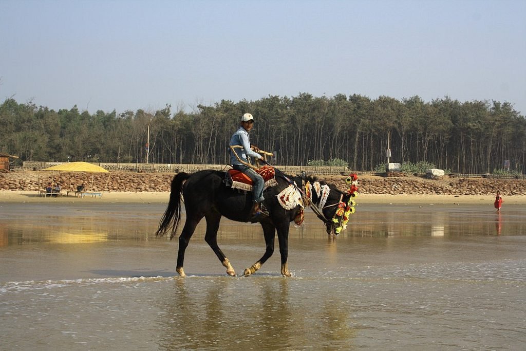 Digha Horse Ride