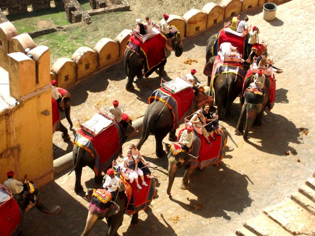 Elephant Ride jaipur