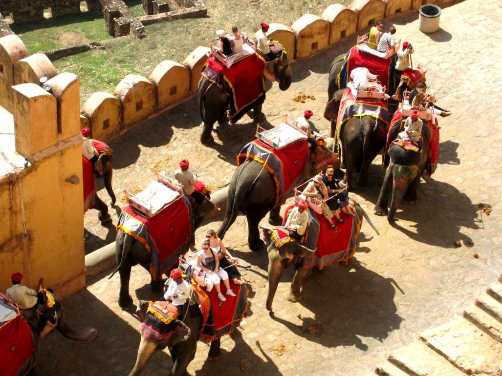 safari ride in rajasthan