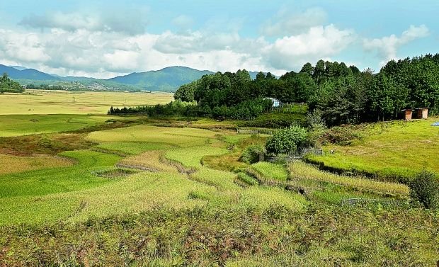 Ziro -Arunachal-Pradesh