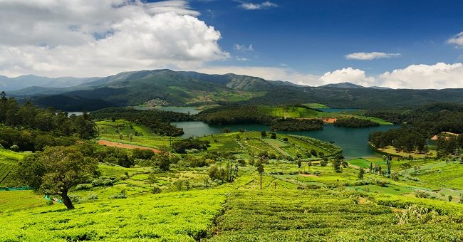 Ooty Hill View