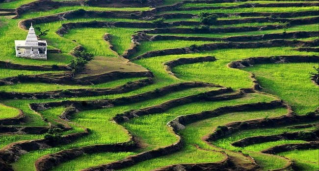 Ranikhet