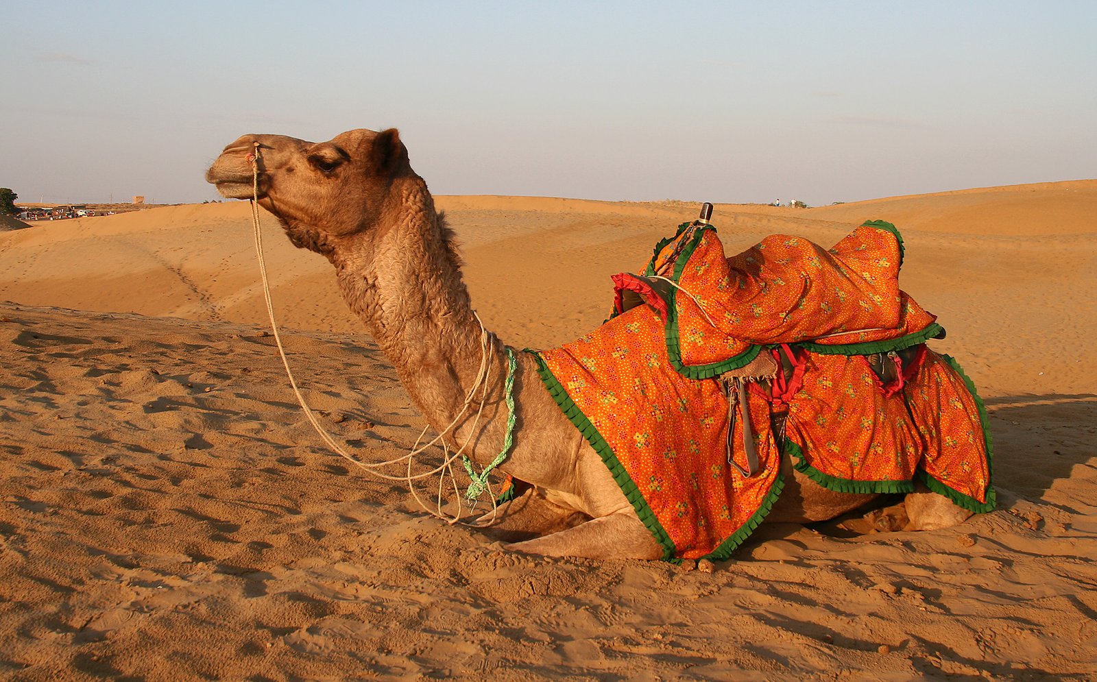 Image result for jaisalmer sam sand dunes best of life pic