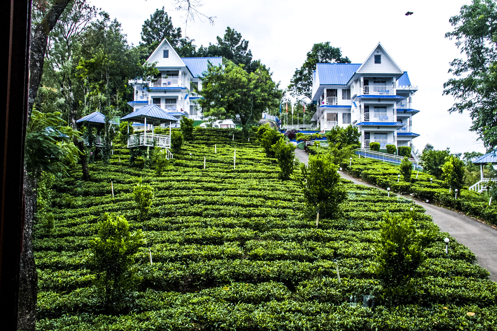 Where To Stay In Munnar 6 Best Options