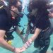Scuba Diving Andaman Honeymoon