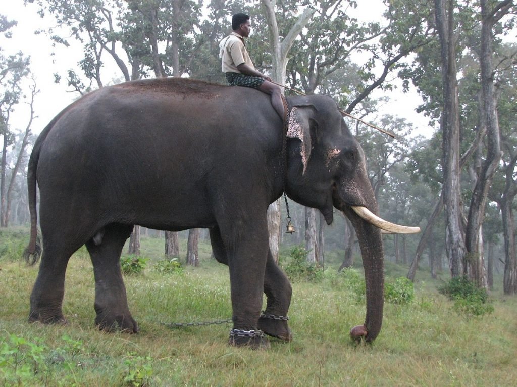 Mathikettan Shola National Park