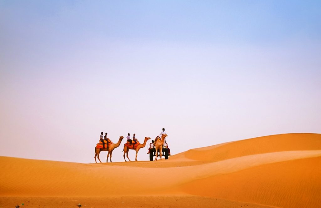 Desert Safari in Jaisalmer