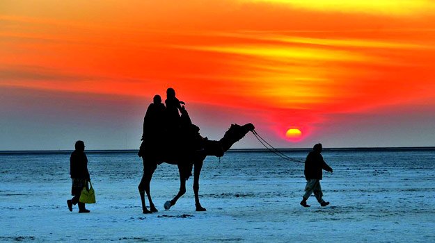 Travel Guide To Kutch Best Time To Visit How To Reach Tourist