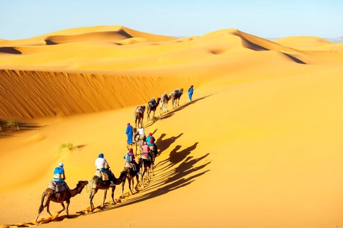 sam sand dunes in jaisalmer