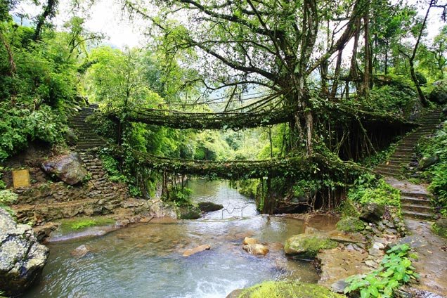 Cherrapunjee, India