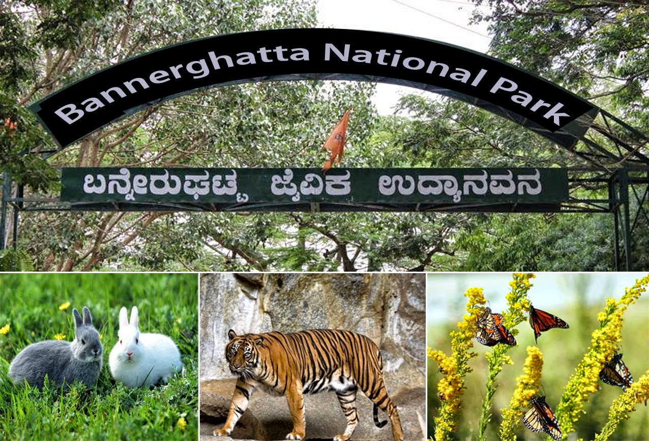 List of national parks in Karnataka - Bandipur National Park