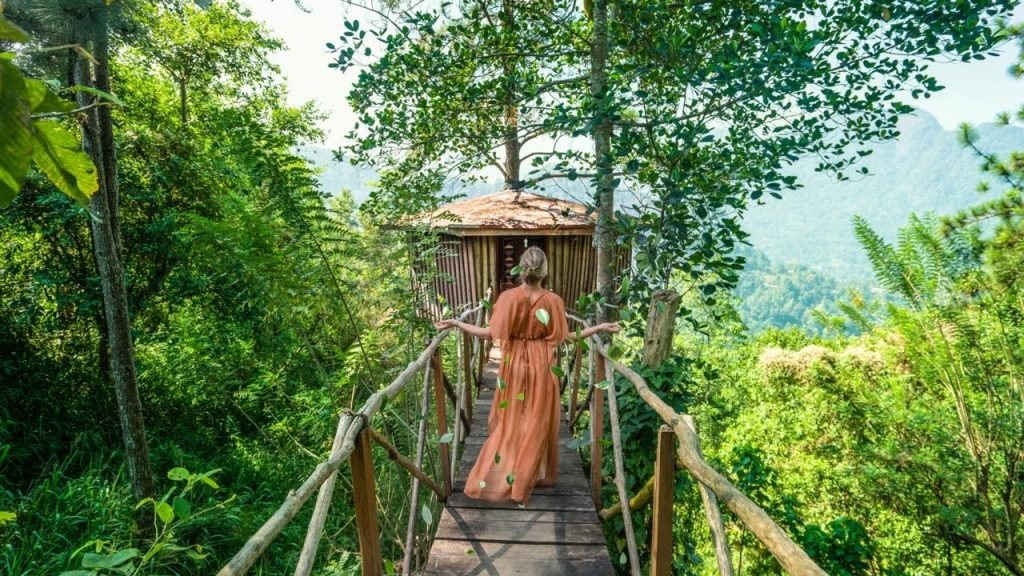 Tree House in Sri Lanka