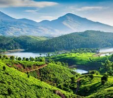 Kerala Tour Packages