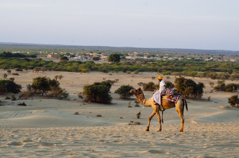 Camel safari in Rajasthan