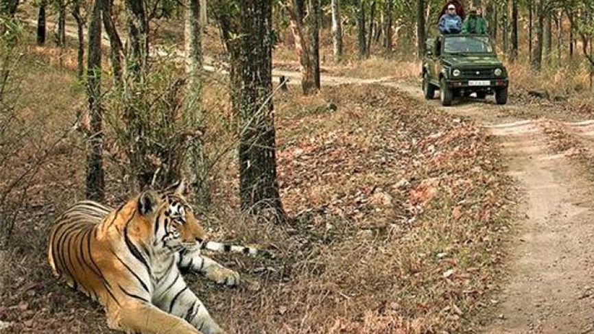 jeep safari in pench national park
