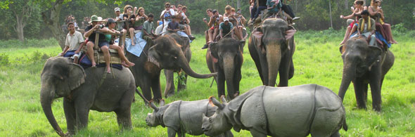 Elephant ride at Chitwan National Park, Nepal