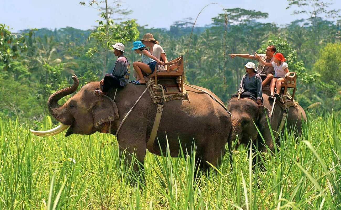 Jim Corbett National Park