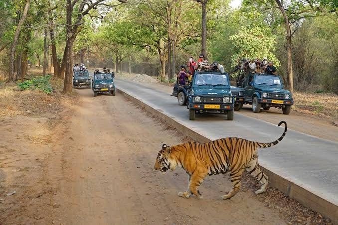 Ranthambore National Park