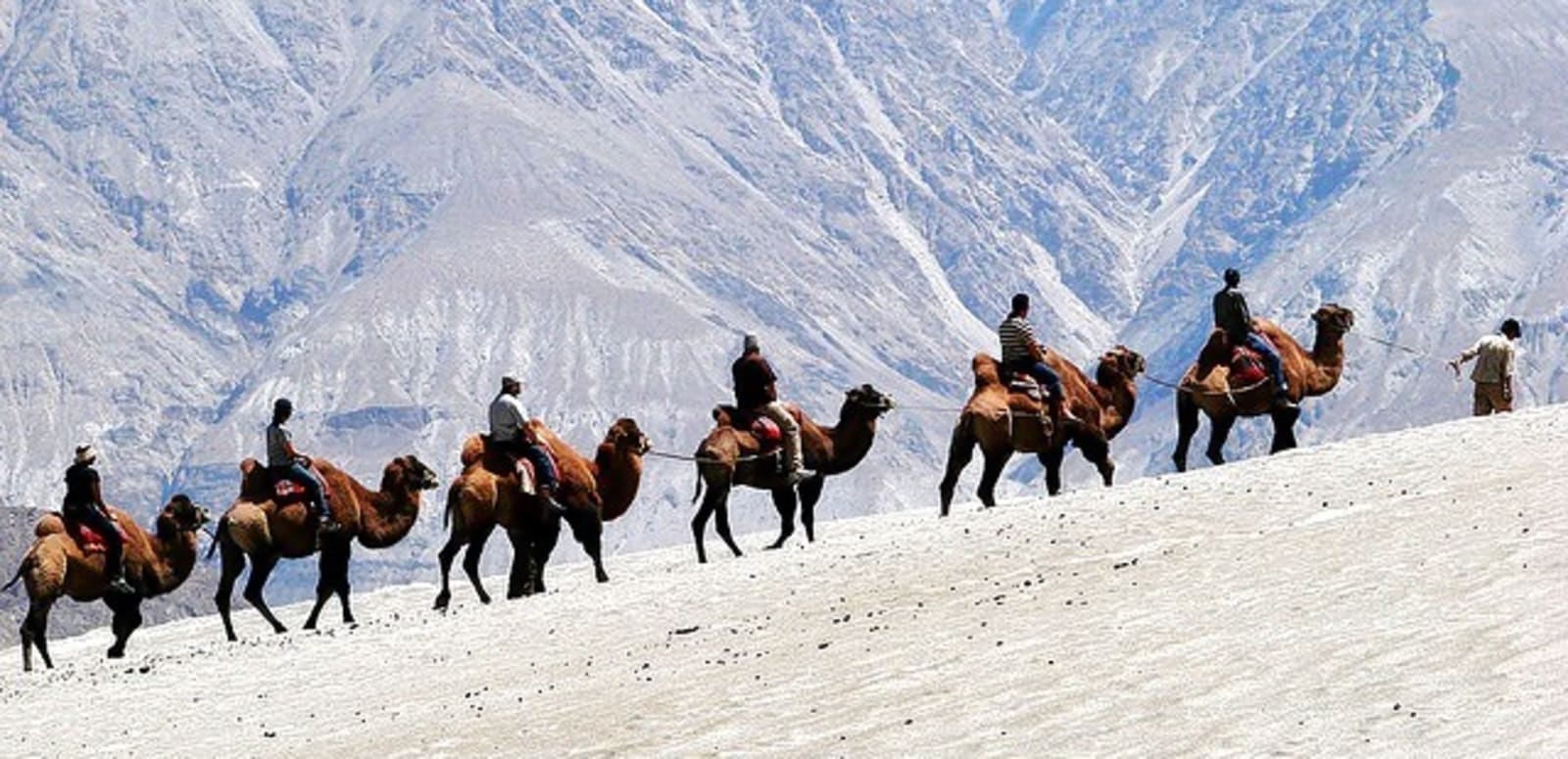 Things to do in Leh Ladakh - Activities to do in Leh Ladakh
