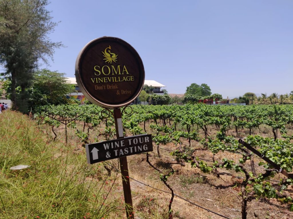 Vineyards in India