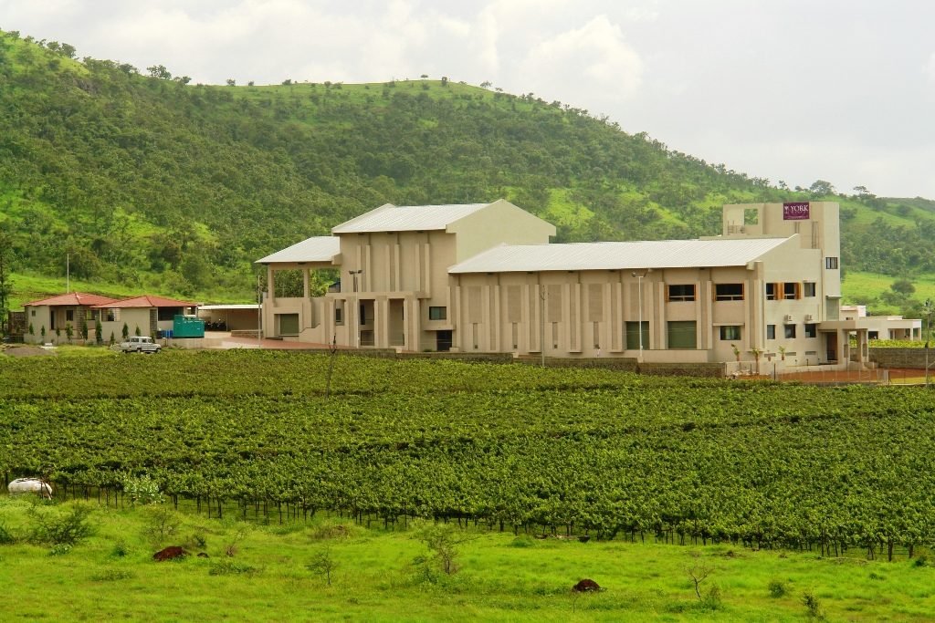 Vineyards in India