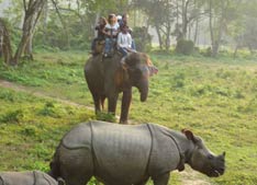 Wildlife Tourism in India