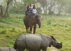 Chitwan National park