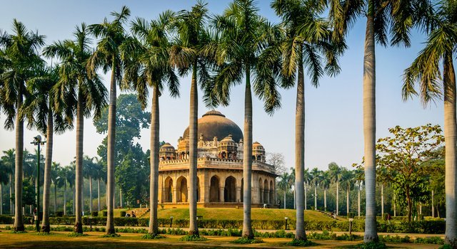 Lodhi Garden Delhi