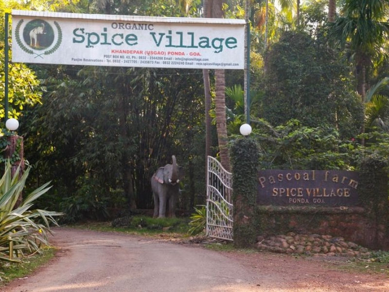 Pascoal Spice Village