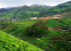 Munnar Hills Kerala