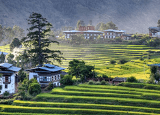 Punakha in Bhutan