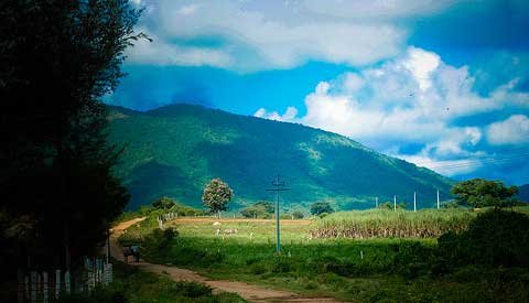 Hill Station of South India