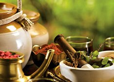 Ayurveda tourism in Kerala