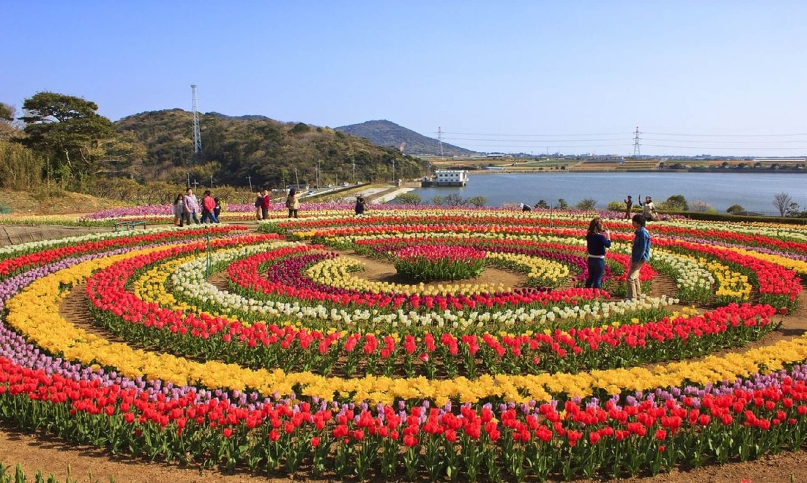 Tulip Garden in Srinagar