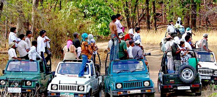 Panna National Park