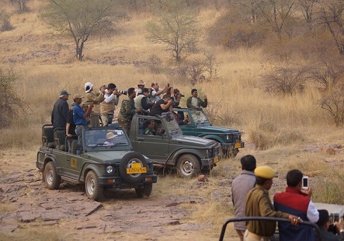 Ranthambore Jeep Safari