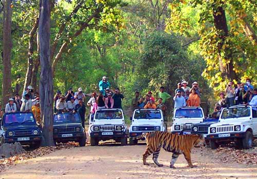 Ranthambore Village