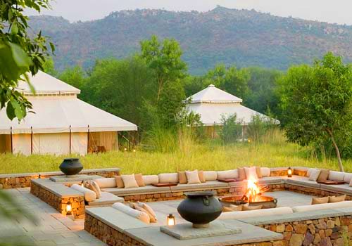 Jungle Safari in Ranthambore National Park