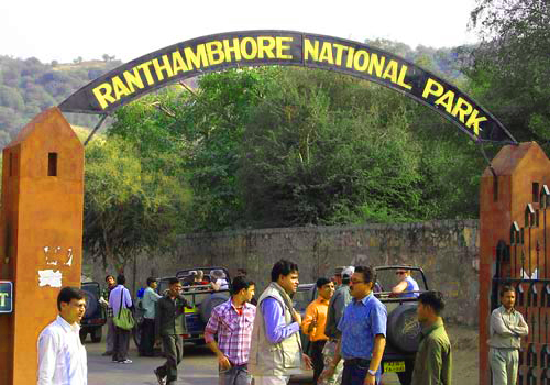 Ranthambore Wildlife tour