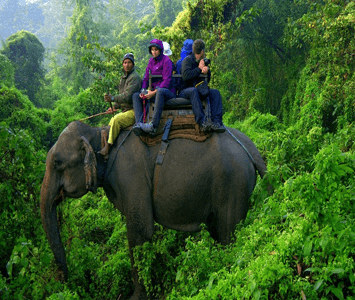 Kaziranga Wildlife Tour