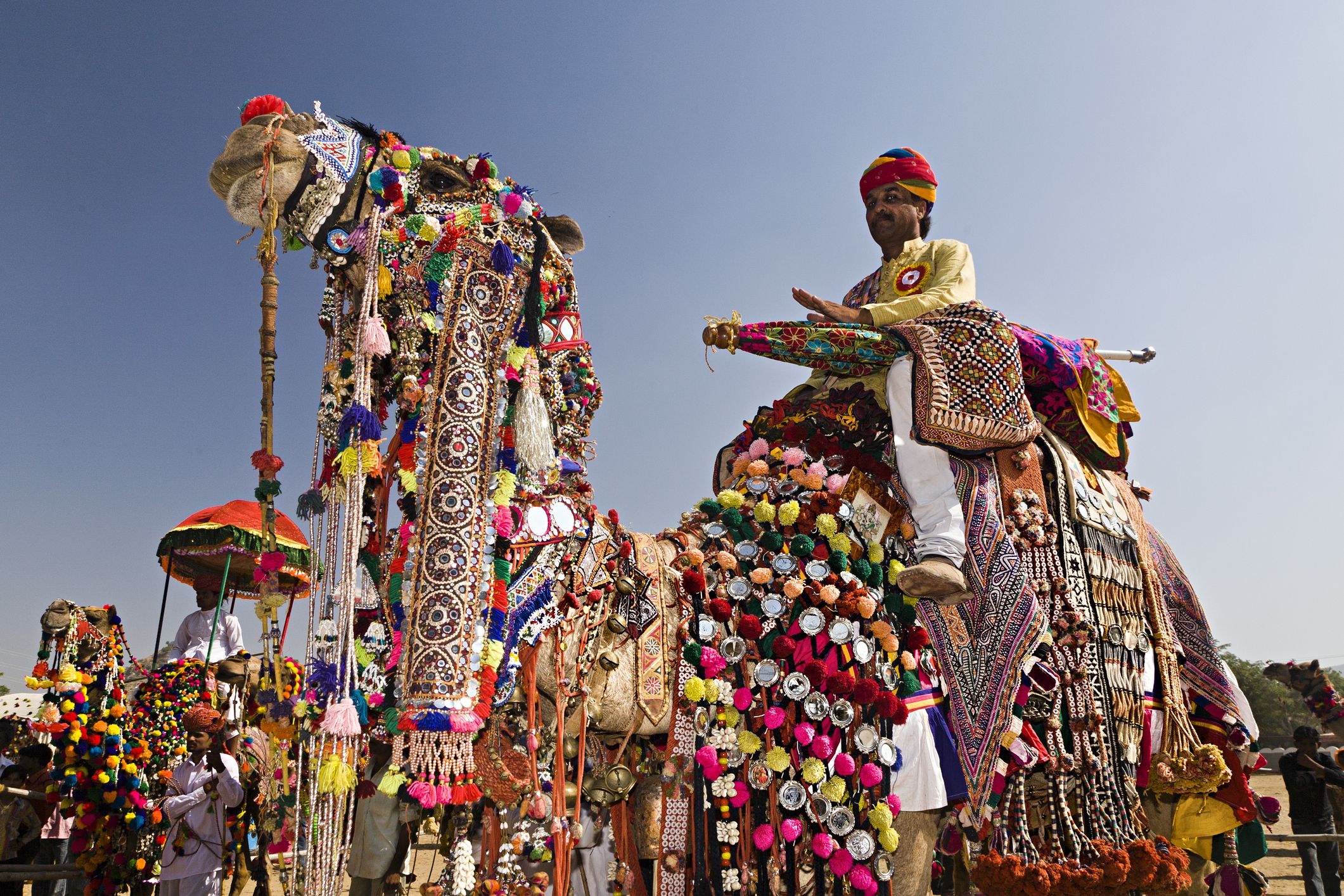 Pushkar Camel Fair 2020